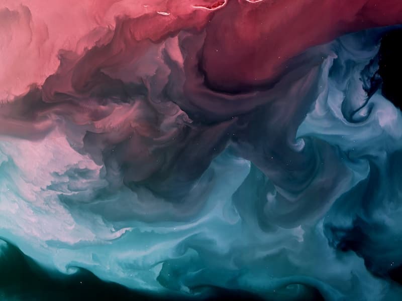 Breeders and pullets