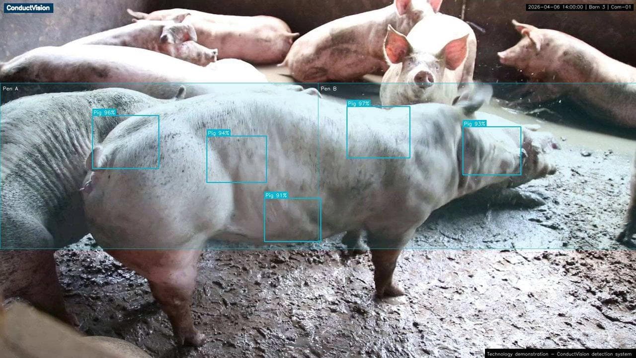 ConductVision detecting behavior in real time.