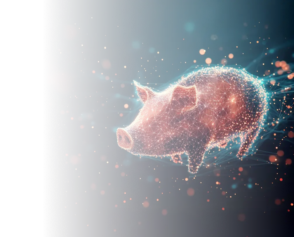 Hero background right